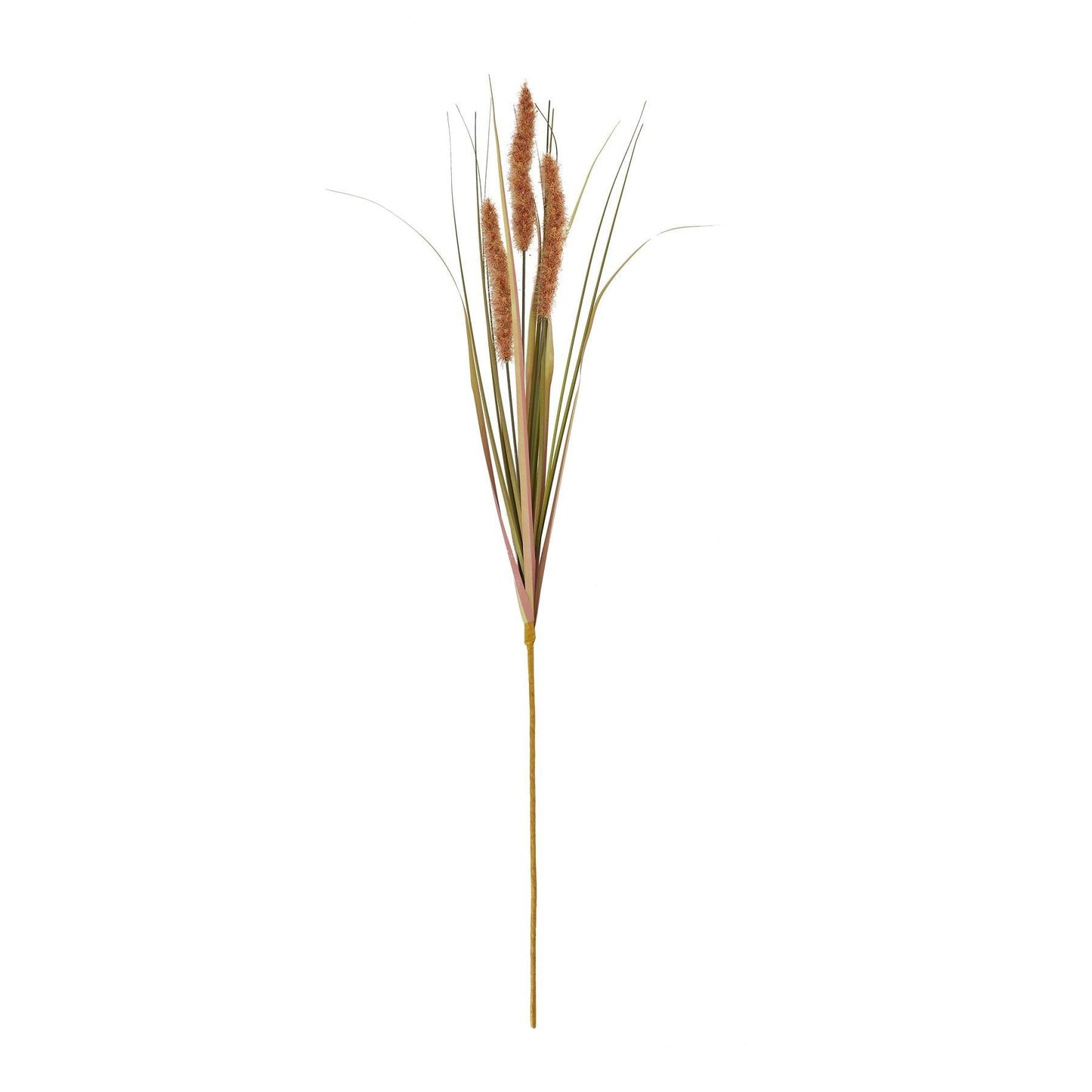 Terracotta Triple Grass Stem - Eudemonia Home Goods