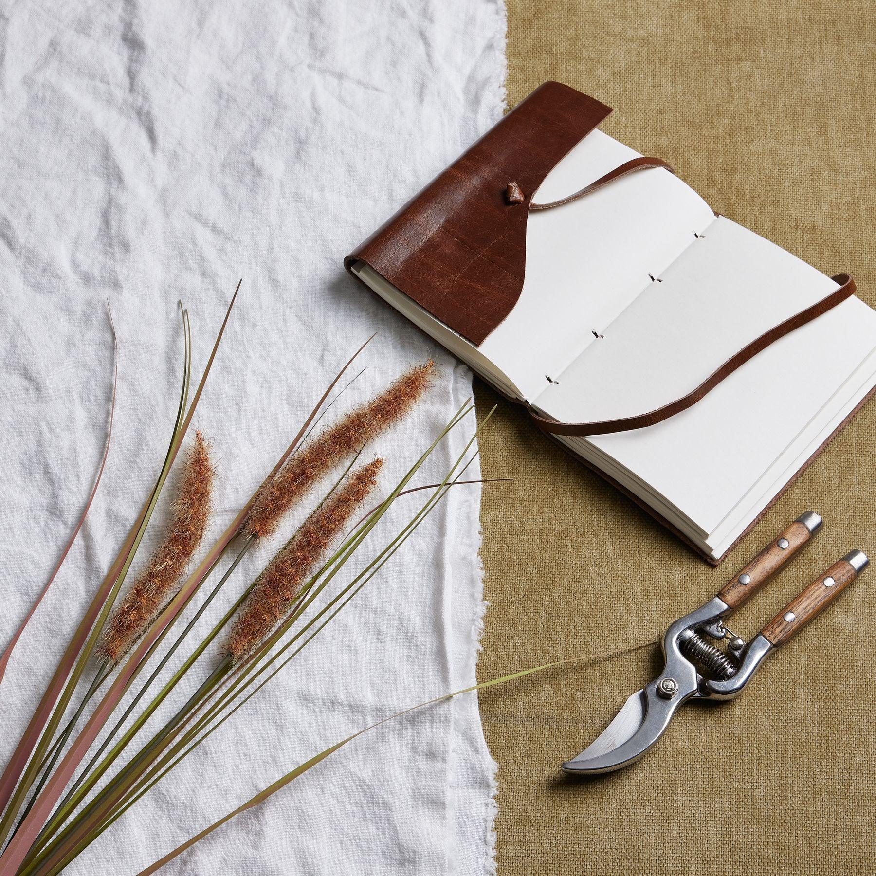 Terracotta Triple Grass Stem - Eudemonia Home Goods