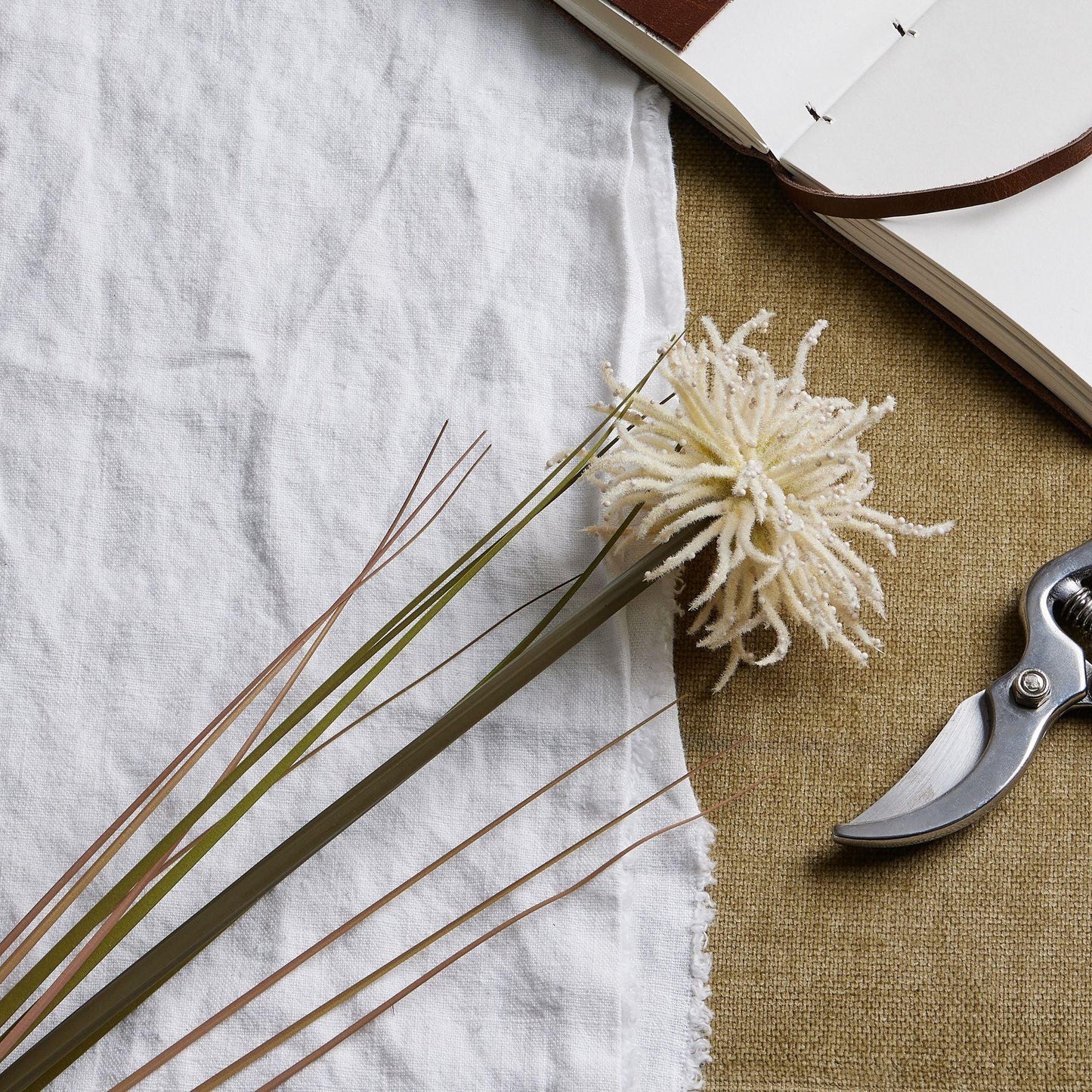 Cream Aster Spider Chrysanthemum Stem - Eudemonia Home Goods