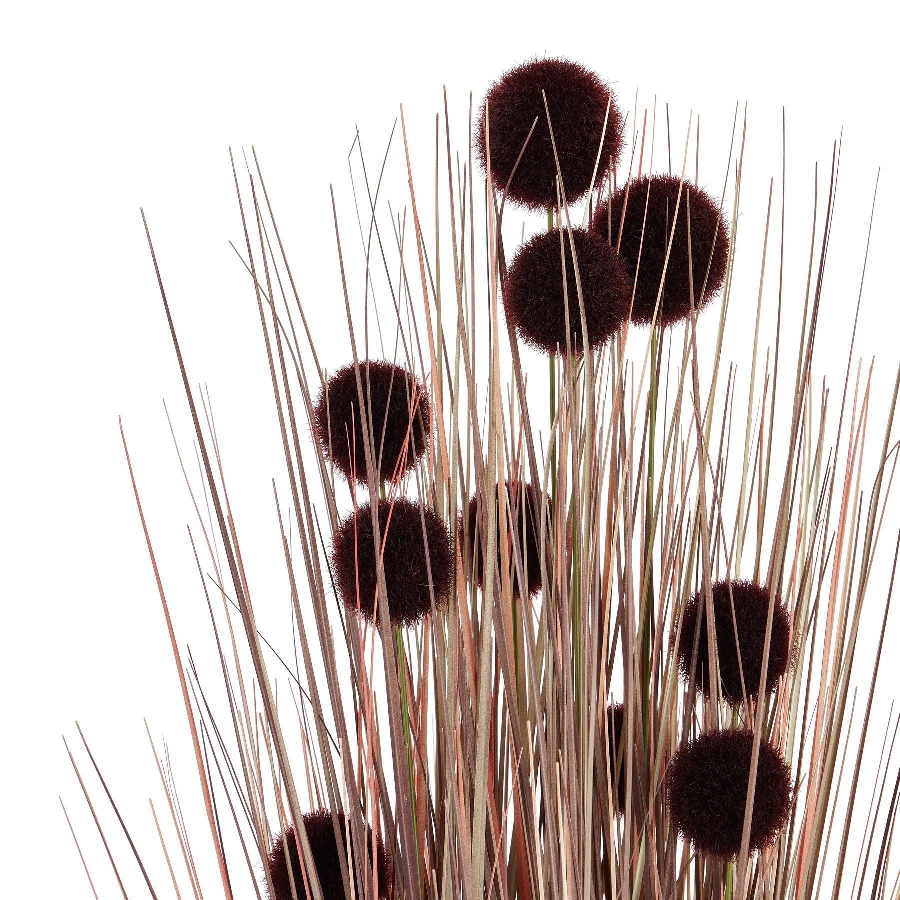 Large Burgundy Pompom Alliums In Black Pot - Eudemonia Home Goods