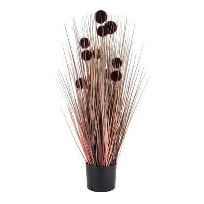 Large Burgundy Pompom Alliums In Black Pot - Eudemonia Home Goods
