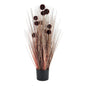 Large Burgundy Pompom Alliums In Black Pot - Eudemonia Home Goods