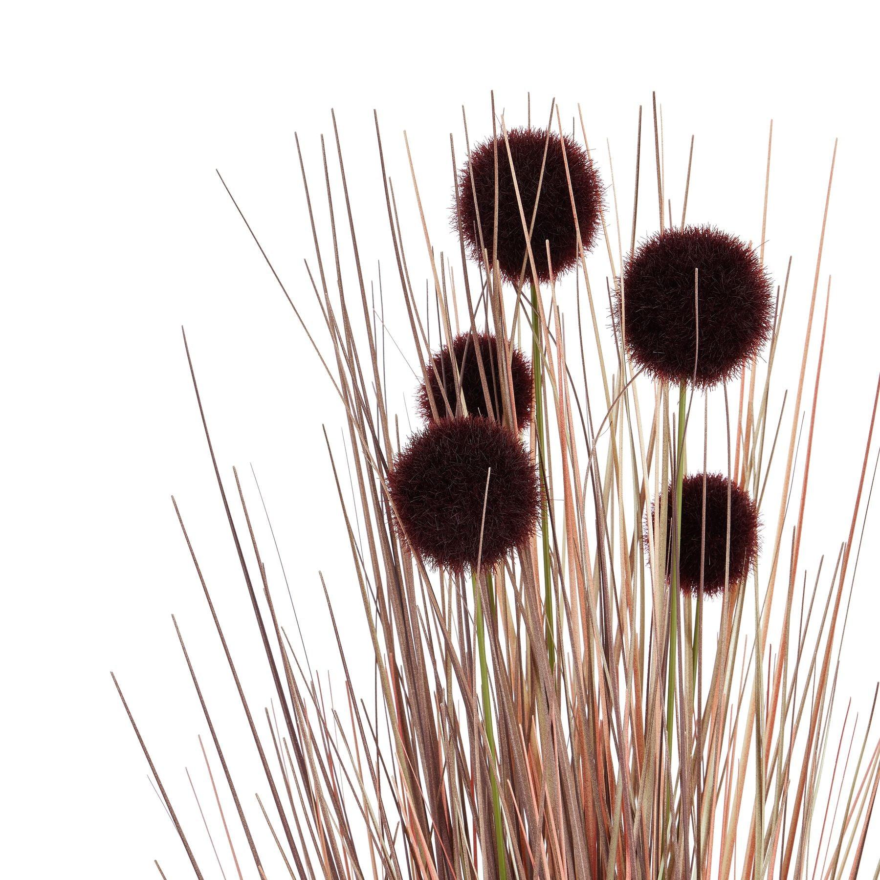 Burgundy Pompom Alliums In Black Pot - Eudemonia Home Goods