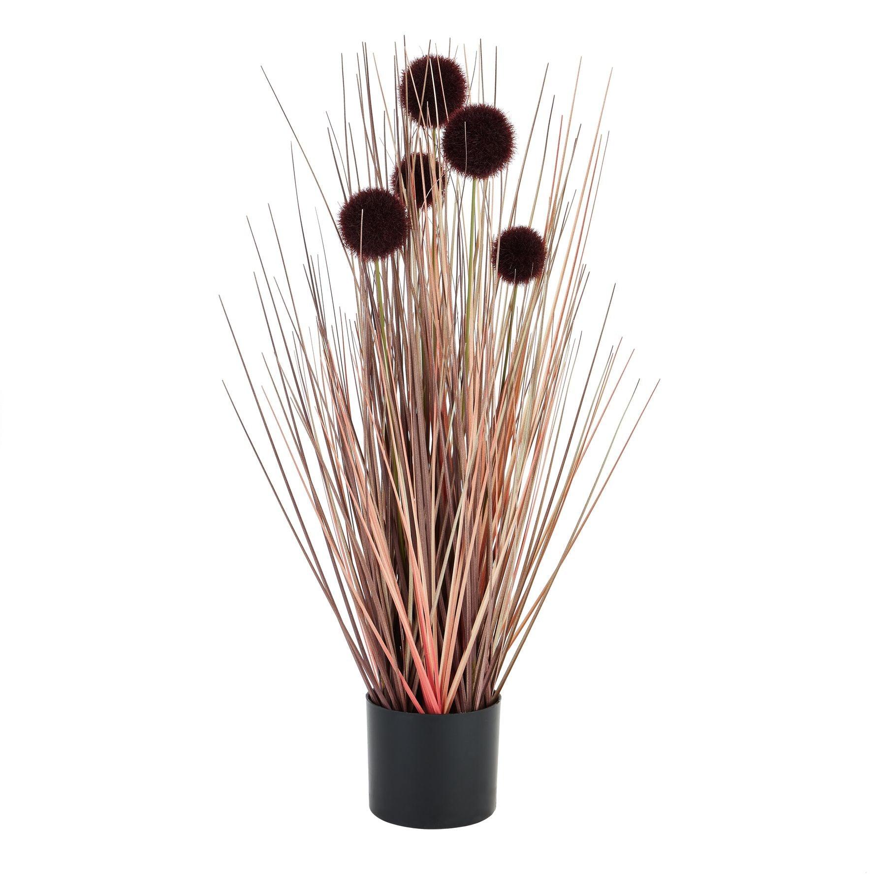 Burgundy Pompom Alliums In Black Pot - Eudemonia Home Goods