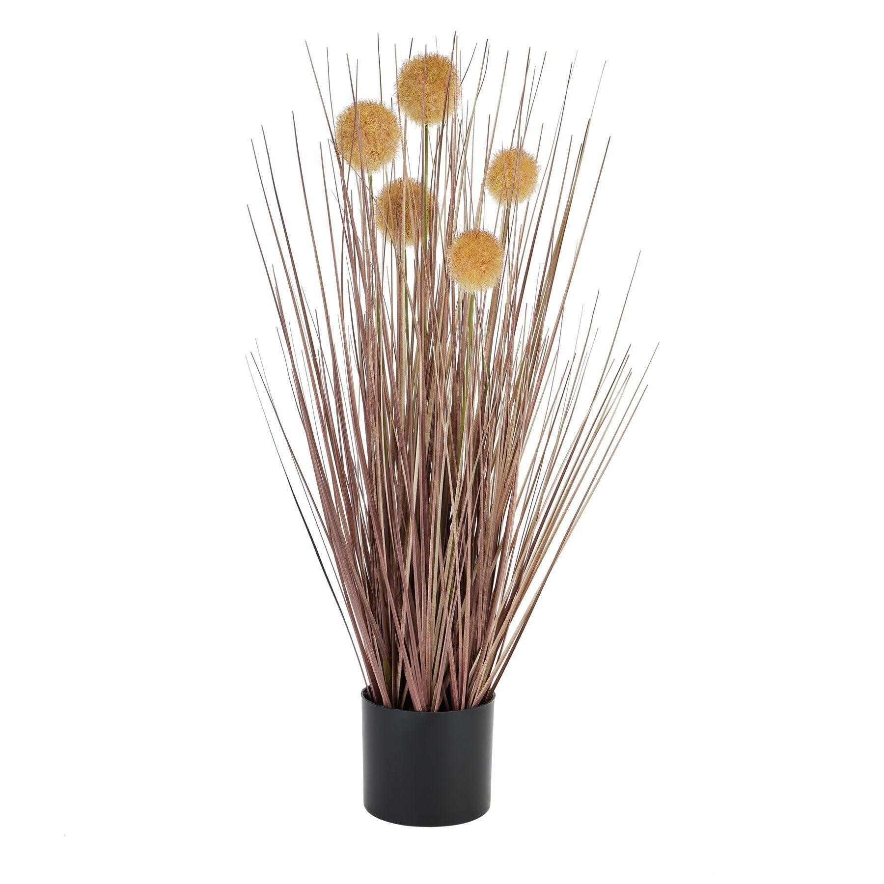 Coffee Pompom Alliums In Black Pot - Eudemonia Home Goods