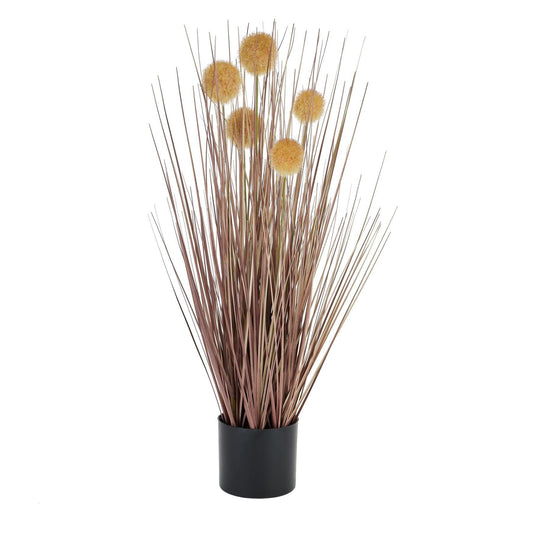 Coffee Pompom Alliums In Black Pot - Eudemonia Home Goods