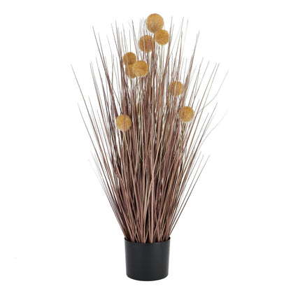 Large Coffee Pompom Alliums In Black Pot - Eudemonia Home Goods