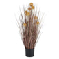 Large Coffee Pompom Alliums In Black Pot - Eudemonia Home Goods
