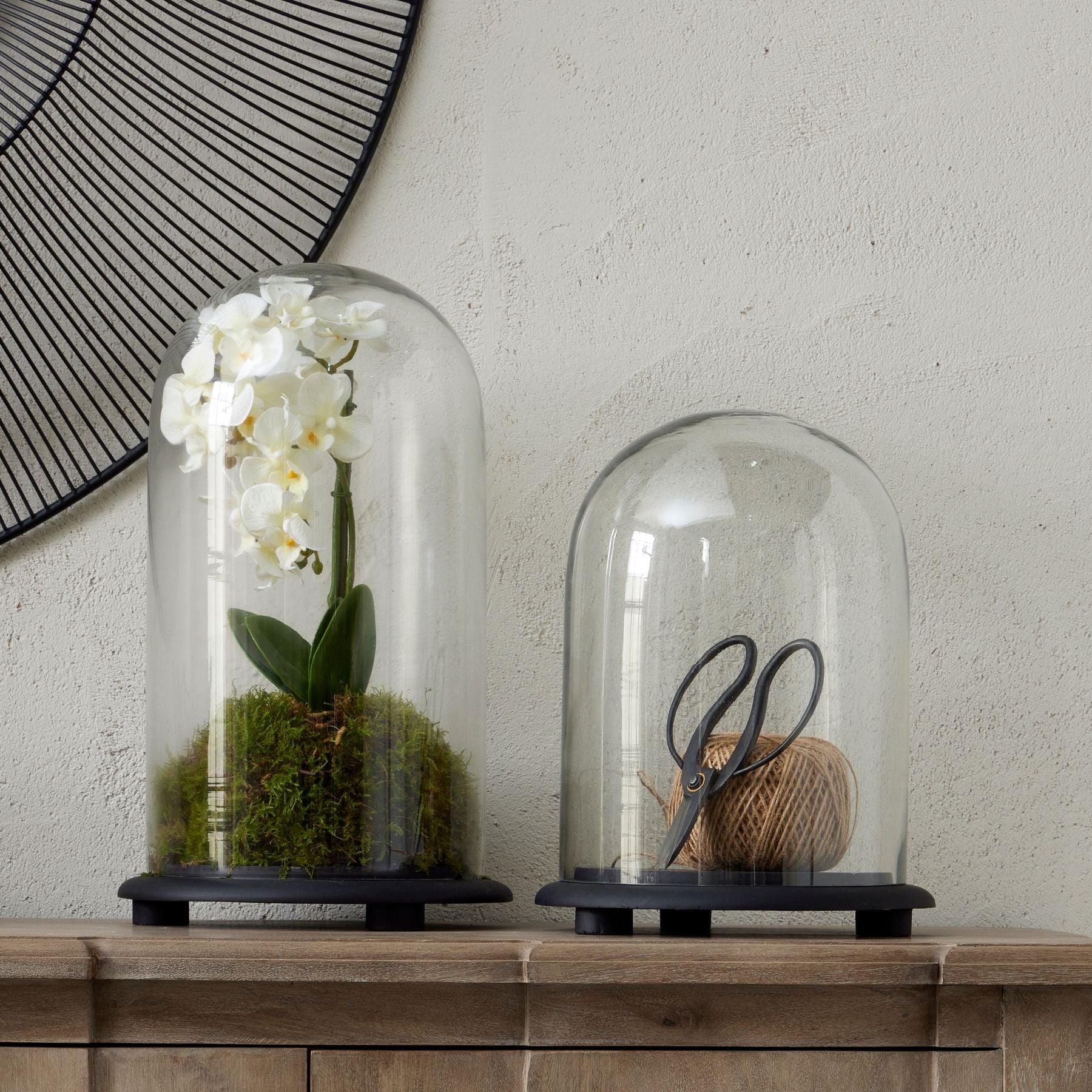 Tall Black Dome Cloche - Eudemonia Home Goods