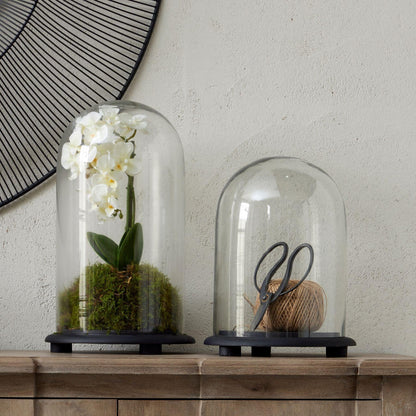 Tall Black Dome Cloche - Eudemonia Home Goods