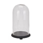 Tall Black Dome Cloche - Eudemonia Home Goods