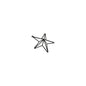 Matt Black Convexed Star Frame - Eudemonia Home Goods